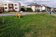IMG_20190822_162957