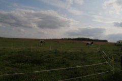 IMG_20190822_163308