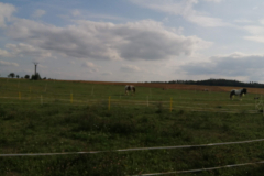 IMG_20190822_163309