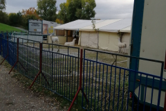 IMG_20191016_171753