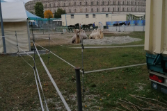 IMG_20191016_171803