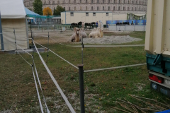 IMG_20191016_171803_1