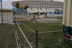 IMG_20191016_171805