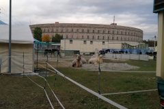 IMG_20191016_171809