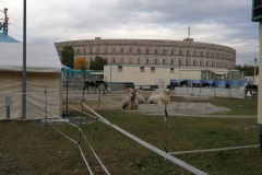IMG_20191016_171810