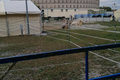 IMG_20191016_171839