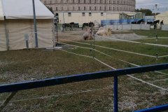 IMG_20191016_171840