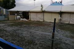 IMG_20191016_171856
