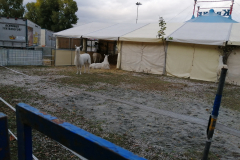 IMG_20191016_171856_1