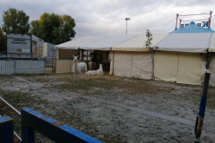 IMG_20191016_171857