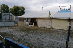IMG_20191016_171858