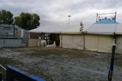 IMG_20191016_171859