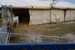 IMG_20191016_172006