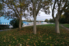 IMG_20191016_172432