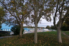 IMG_20191016_172434
