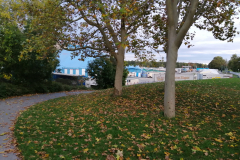 IMG_20191016_172436