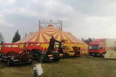 IMG_20220319_151927_1