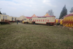 IMG_20220319_151958