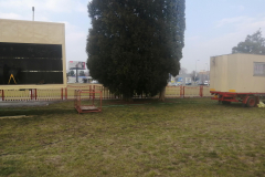 IMG_20220319_152005