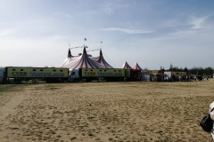IMG_20240407_152854
