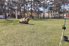 441067800_2652689428240225_5562919580393236861_n