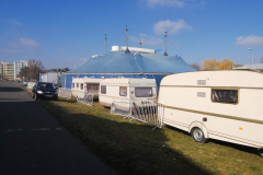 IMG_20250302_104347