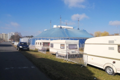 IMG_20250302_104348