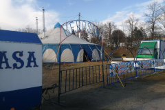 IMG_20250312_155957